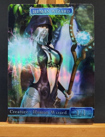 Foil Human Wizard #1